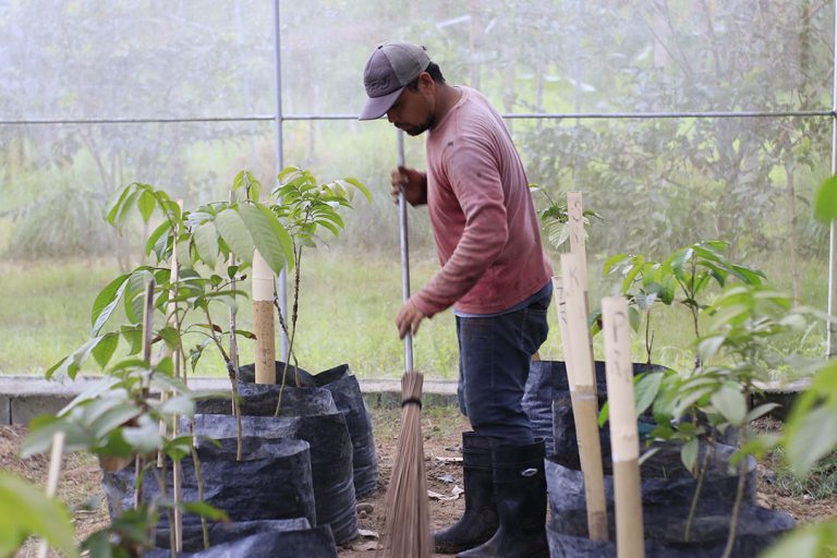 Organic Agriculture – University of Southern Mindanao